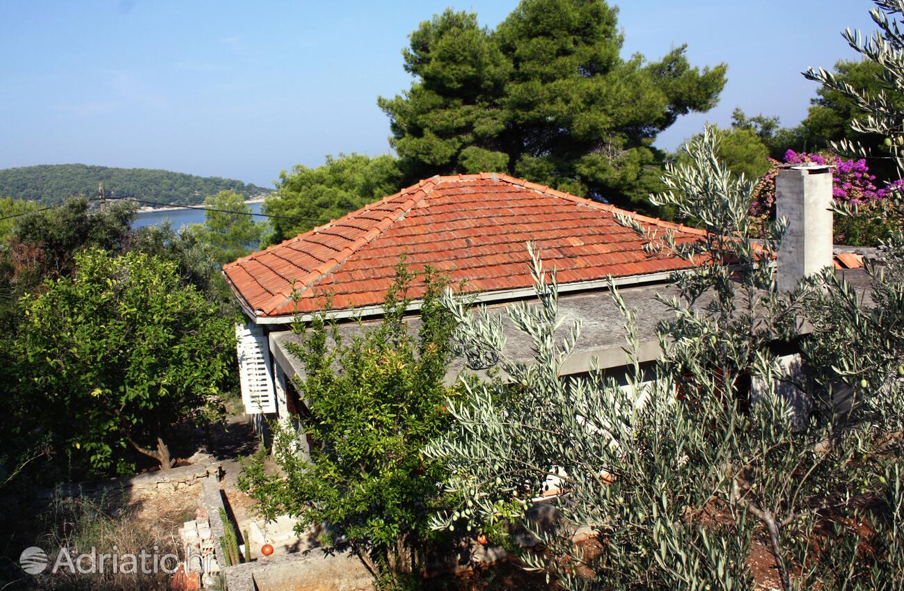 Alloggio - Appartamenti accanto al mare Necujam, Solta