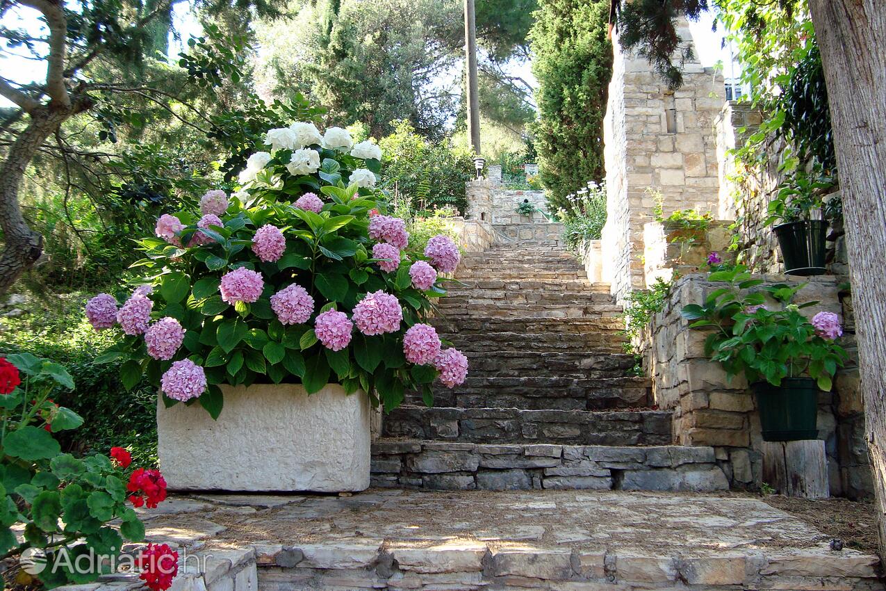 Giardino - Casa vacanze con parcheggio Maslinica, Solta