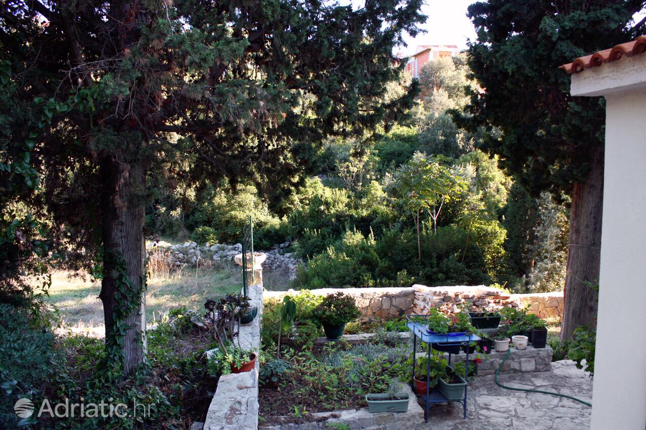 Giardino - Casa vacanze con parcheggio Maslinica, Solta