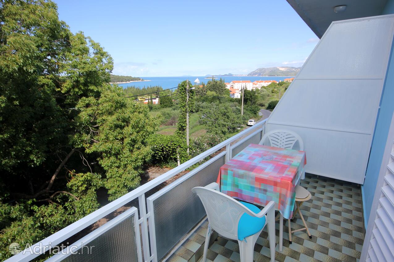 Chambres avec la piscine Cavtat, Dubrovnik - 5222