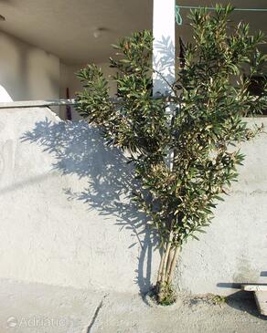 Apartmanok parkolóhellyel Metajna, Pag - 525