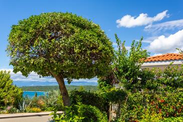 Apartments with terrace Njivice, Kvarner
