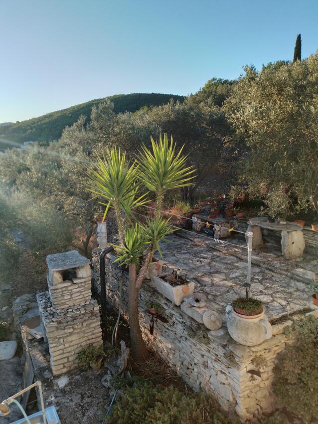 Giardino - Appartamenti accanto al mare Prigradica, Curzola - Korčula