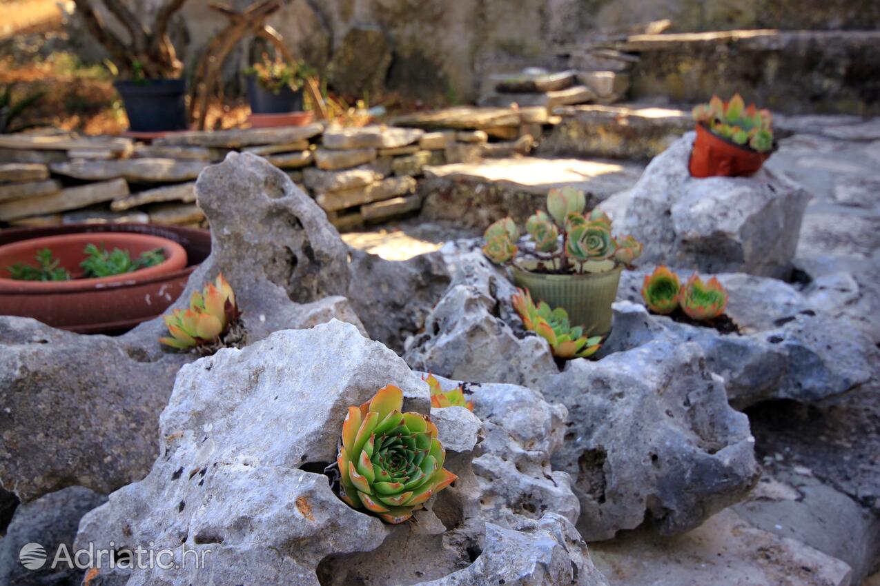 Giardino - Appartamenti accanto al mare Prigradica, Curzola - Korčula