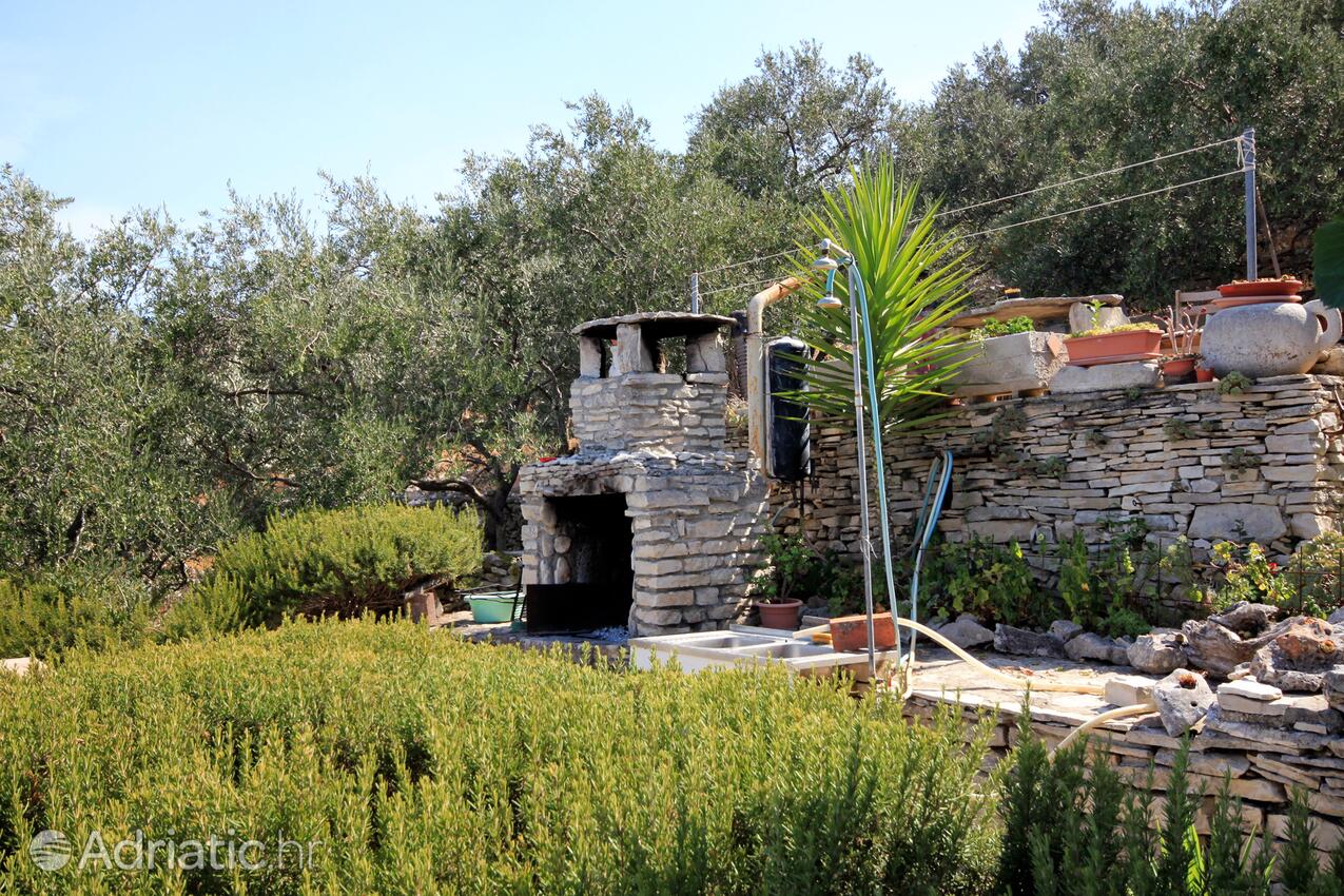 Giardino - Appartamenti accanto al mare Prigradica, Curzola - Korčula