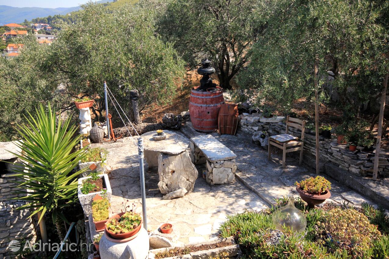 Giardino - Appartamenti accanto al mare Prigradica, Curzola - Korčula