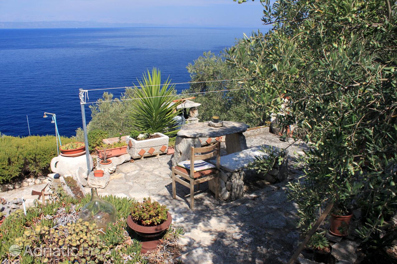 Giardino - Appartamenti accanto al mare Prigradica, Curzola - Korčula