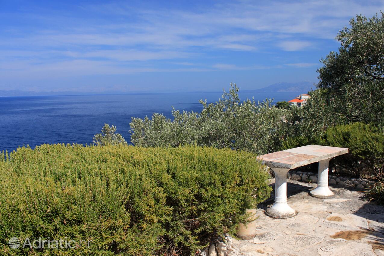 Giardino - Appartamenti accanto al mare Prigradica, Curzola - Korčula