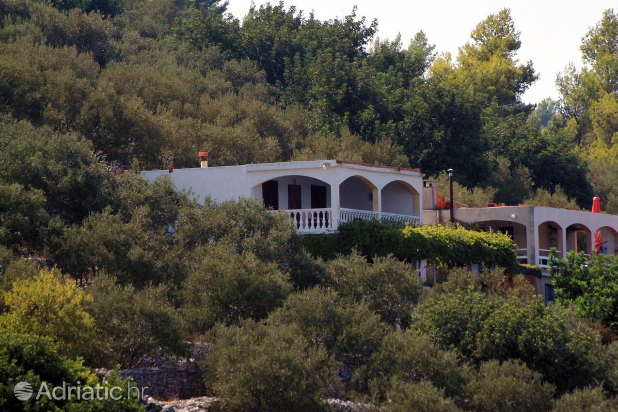 Alloggio - Appartamenti accanto al mare Prigradica, Curzola - Korčula