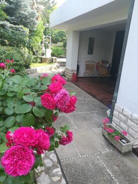 Apartamente cu parcare Baska, Krk - 5430