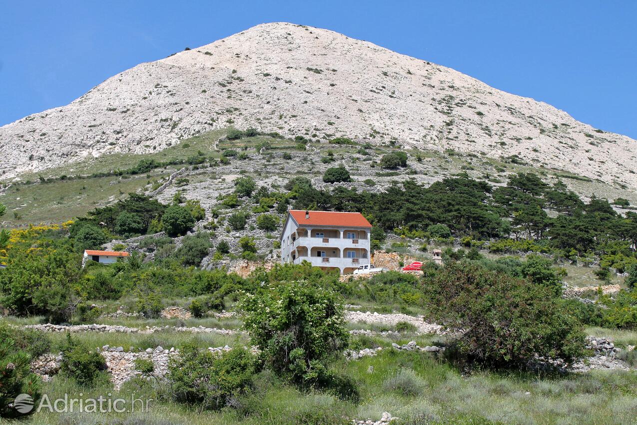Appartamenti e camere con parcheggio Bescavecchia - Stara Baška, Veglia - Krk - 5460