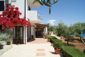 Apartmány u moře Zavala, Hvar - 553