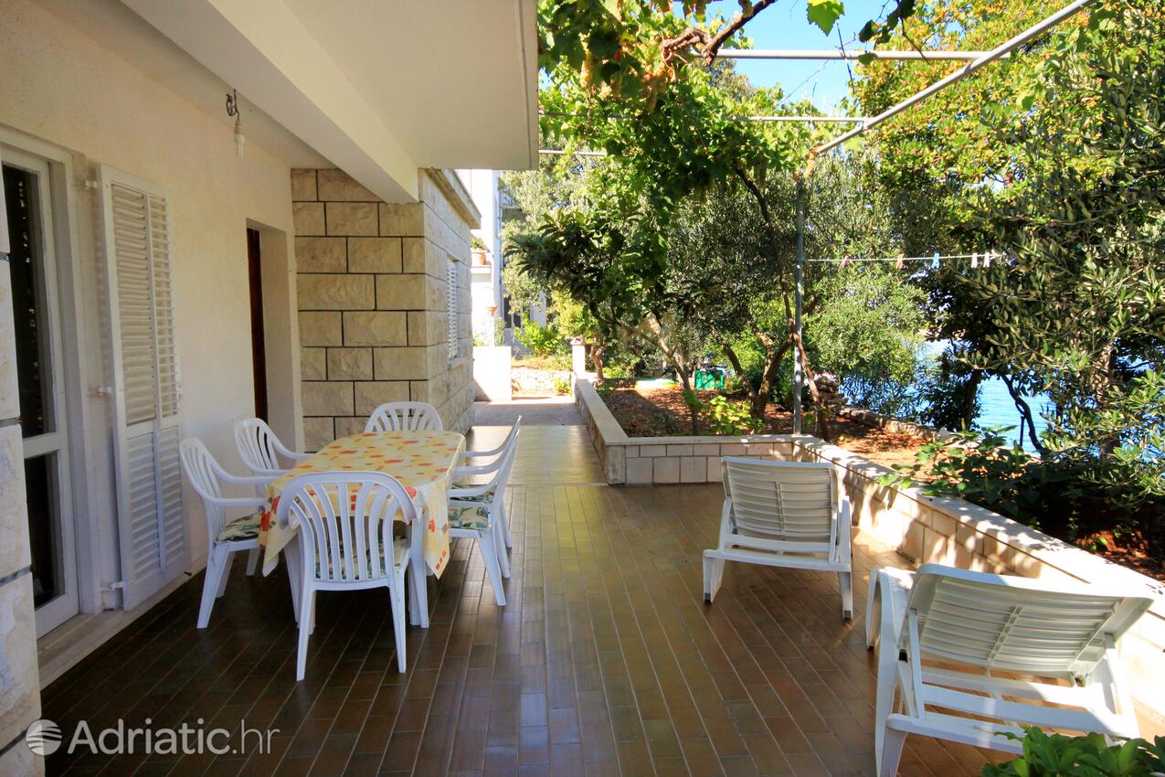 A-556-a - Private accommodation - Apartments by the sea Tri Žala, Korčula
