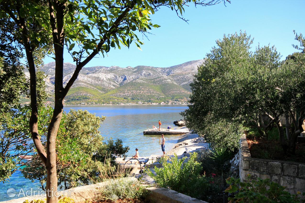 A-556-a - Private accommodation - Apartments by the sea Tri Žala, Korčula