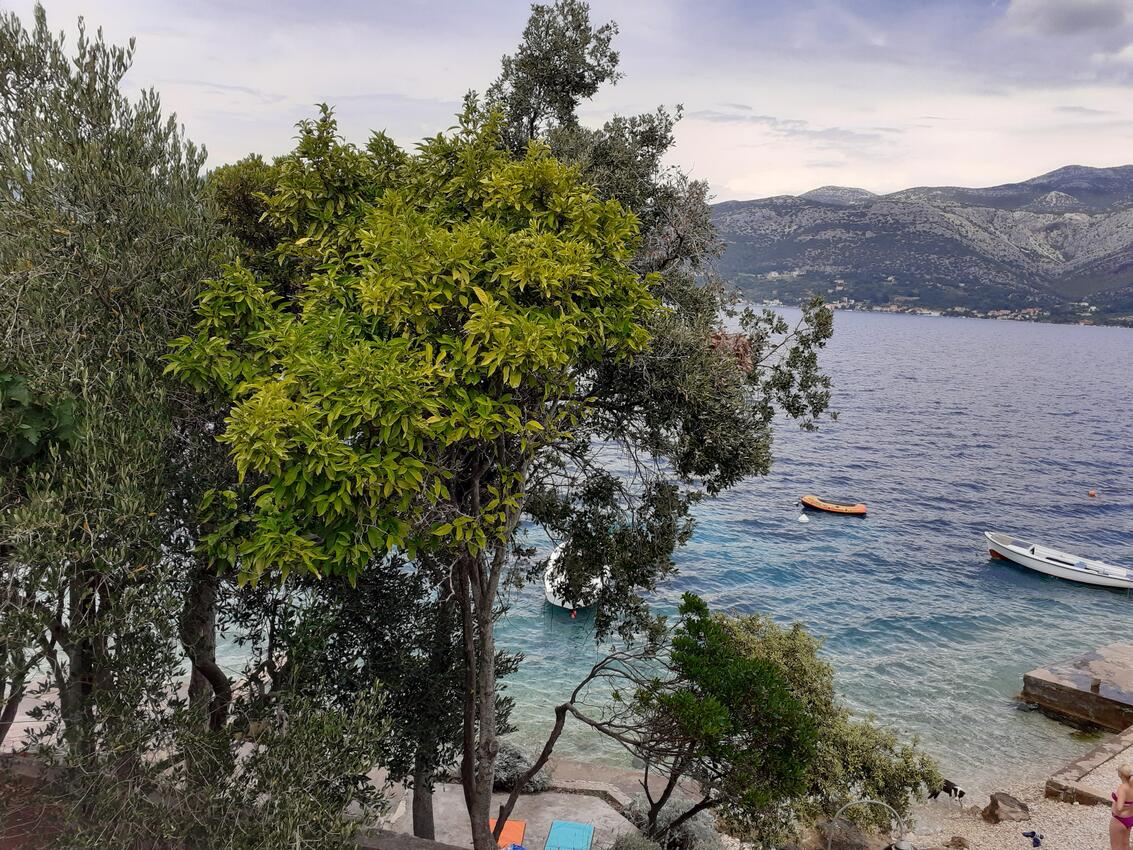 Courtyard - Apartments by the sea Tri Žala, Korčula