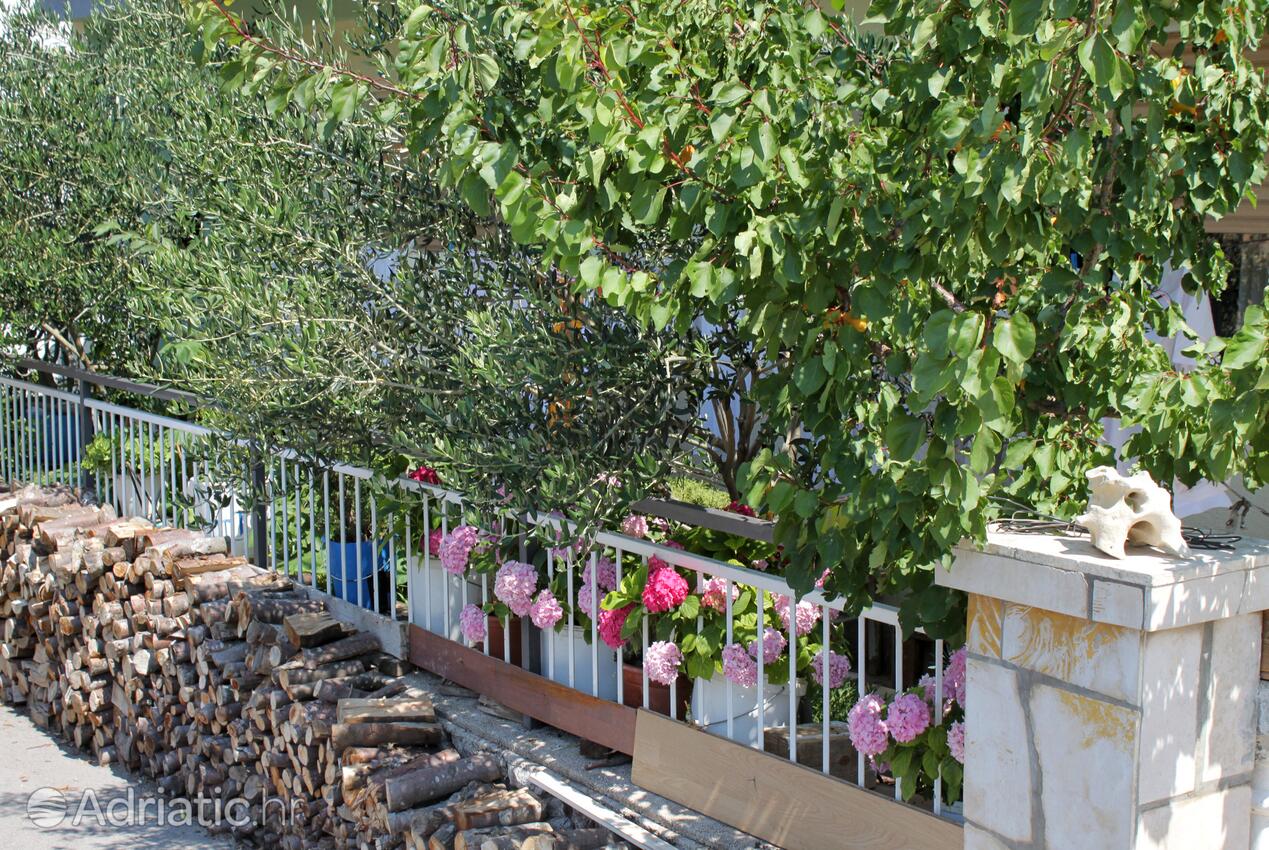Udvar - Apartmanok parkolóhellyel Senj