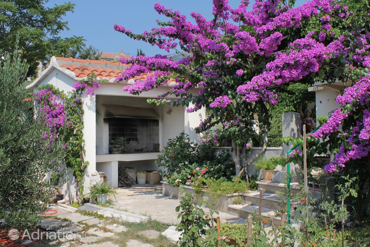 Apartments with parking space Bol, Brač - 5605