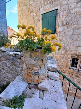 Apartments by the sea Supetar, Brač - 5656