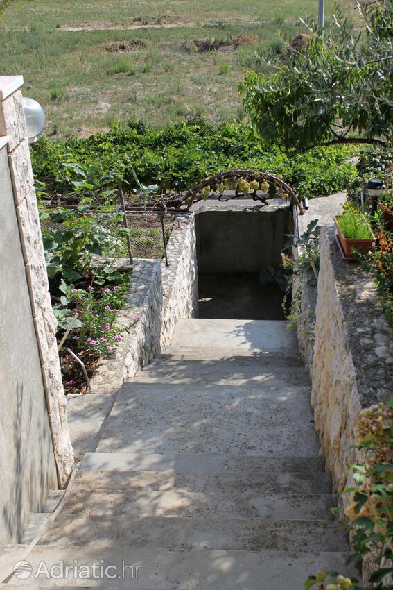 Giardino - Appartamenti con parcheggio Postire - Postira, Brazza - Brač