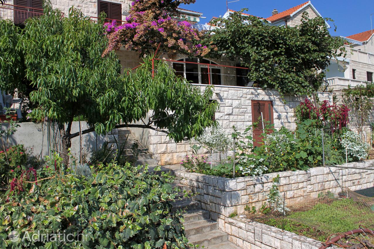 Giardino - Appartamenti con parcheggio Postire - Postira, Brazza - Brač