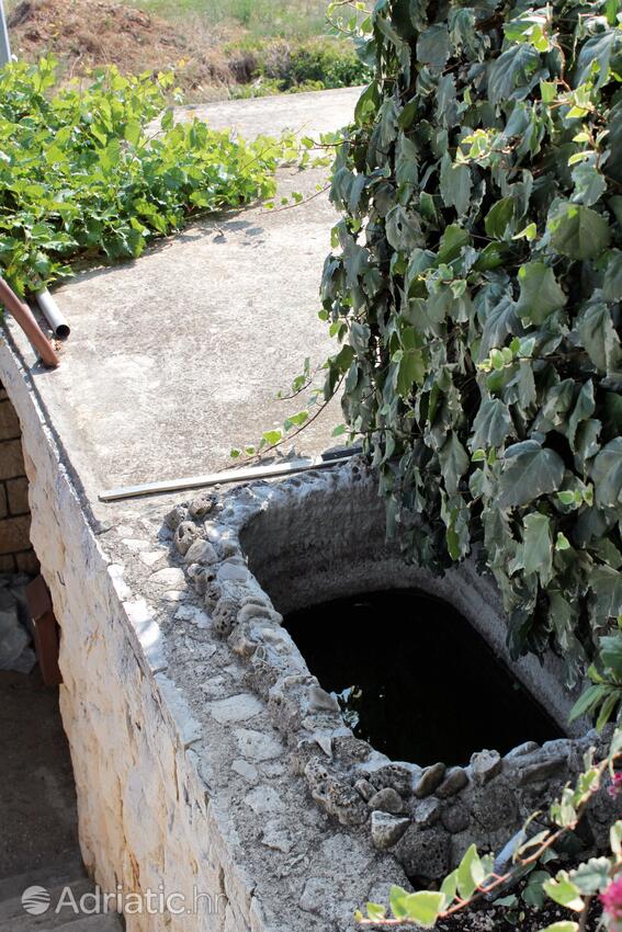 Giardino - Appartamenti con parcheggio Postire - Postira, Brazza - Brač