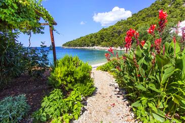 Seaside secluded apartments Cove Skozanje, Hvar - 5713