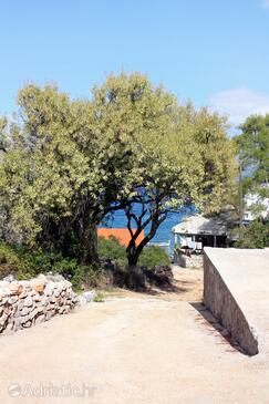 Apartments by the sea Cove Bristova, Hvar - 5716