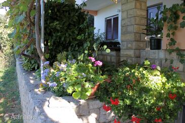 Family friendly seaside apartments Kožino, Zadar - 5749