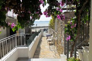 1-Zimmer-Ferienwohnung Zadar - Diklo, Zadar (A-5767-a(