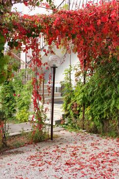 Apartments with parking space Sukošan, Zadar - 5777