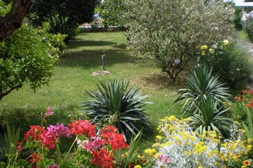 Apartmány u moře Sukošan, Zadar - 5802