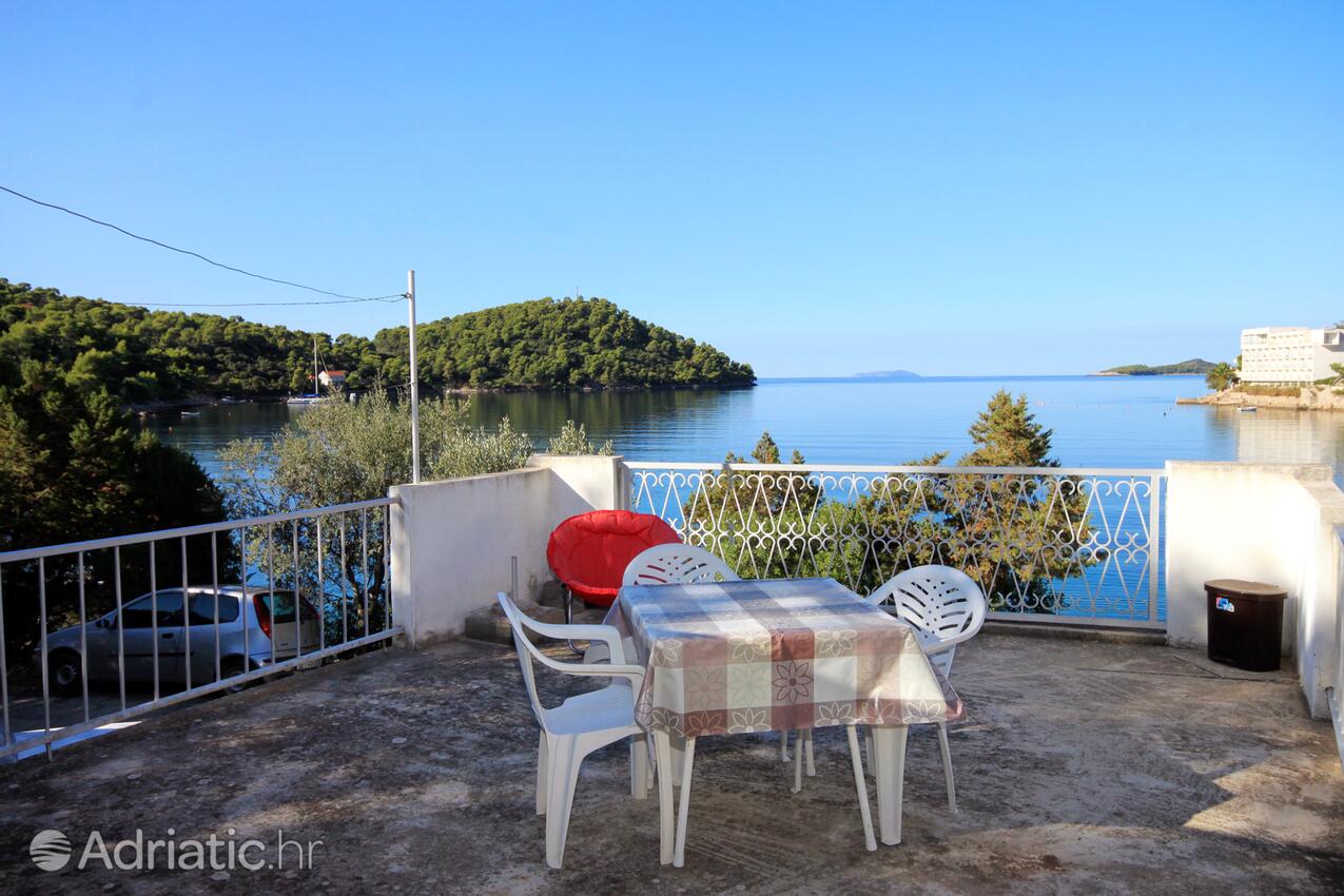 Apartments by the sea Brna, Korčula - 5902