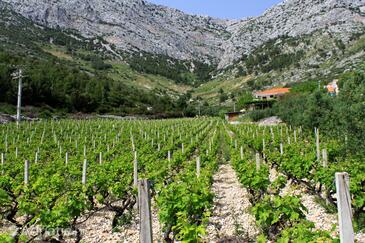 Apartmány s parkovištěm Ivan Dolac, Hvar - 592