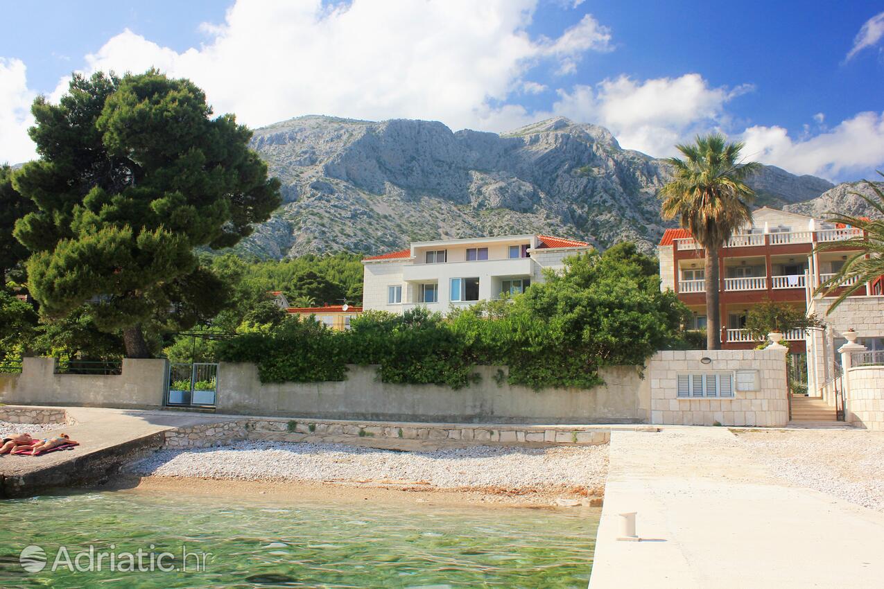 Apartamenty nad morzem Orebic, Peljesac - 5991