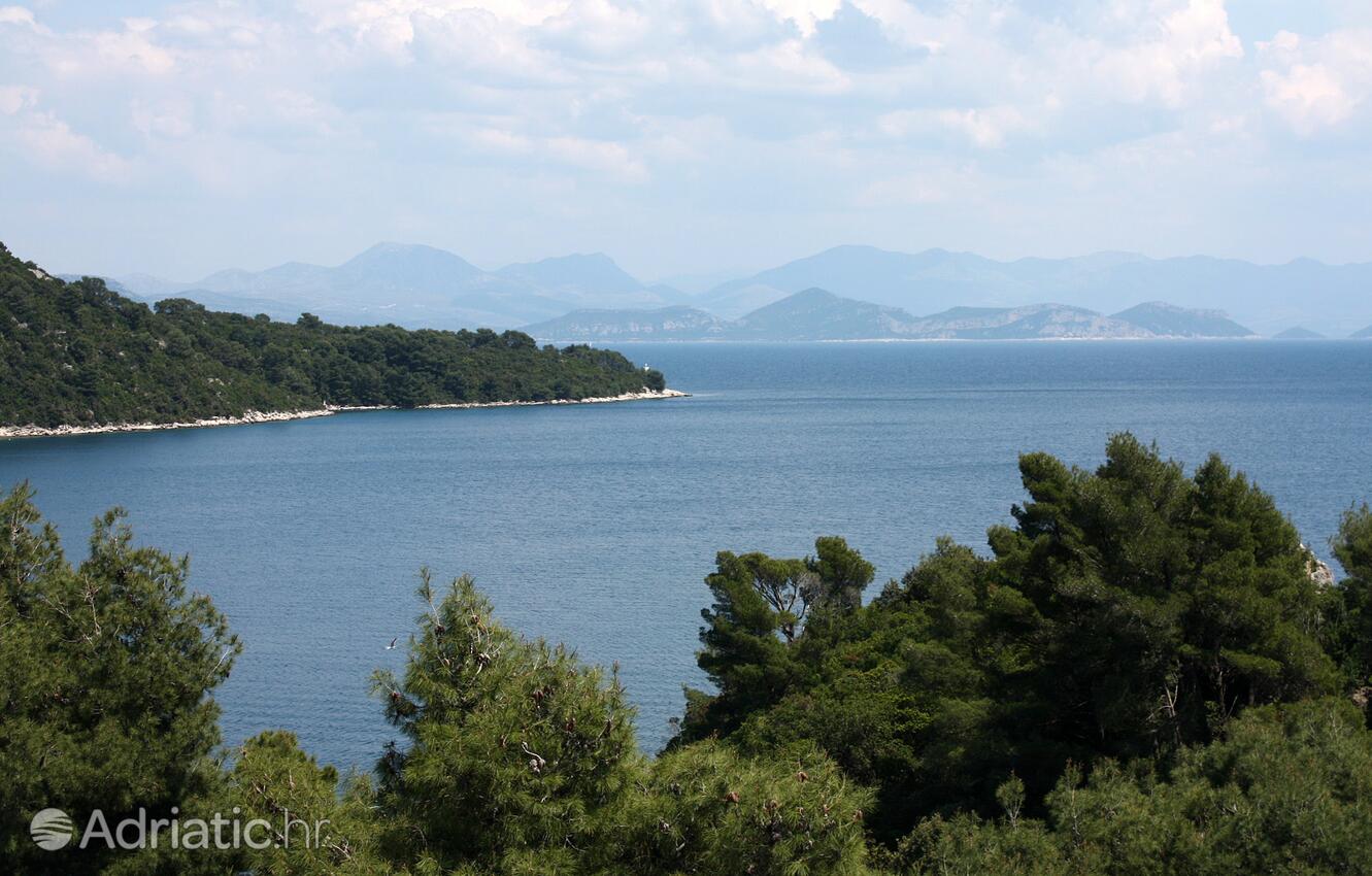 A-600-a - Private accommodation - Apartments by the sea Sobra, Mljet