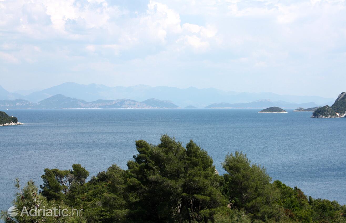 A-600-b - Private accommodation - Apartments by the sea Sobra, Mljet