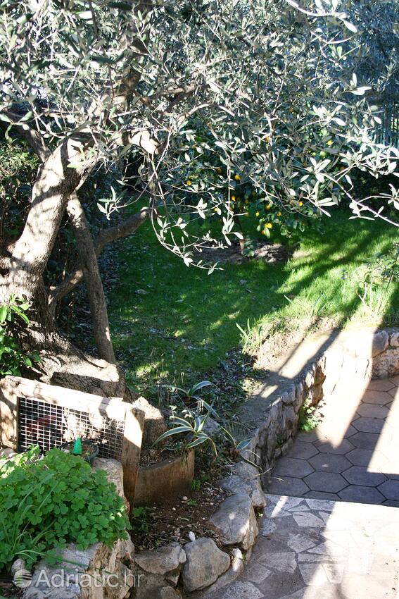 Giardino - Appartamenti con parcheggio Podaca, Macarsca - Makarska