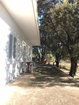 Robinzonski apartmaji ob morju Zaliv Blaca, Mljet - 615