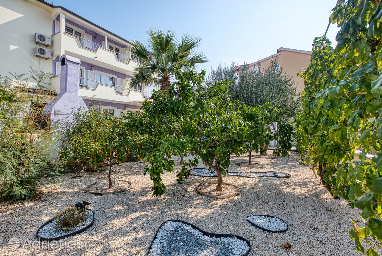Courtyard - Apartments with a parking space Vodice