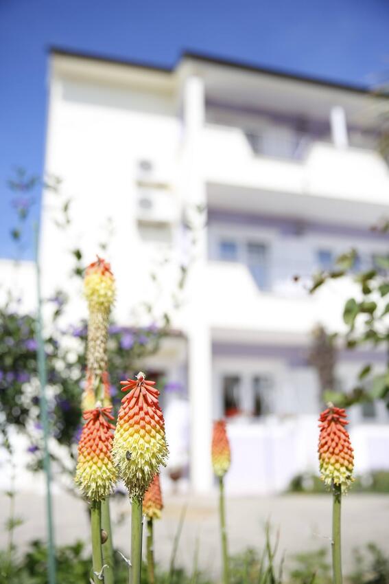 Courtyard - Apartments with a parking space Vodice