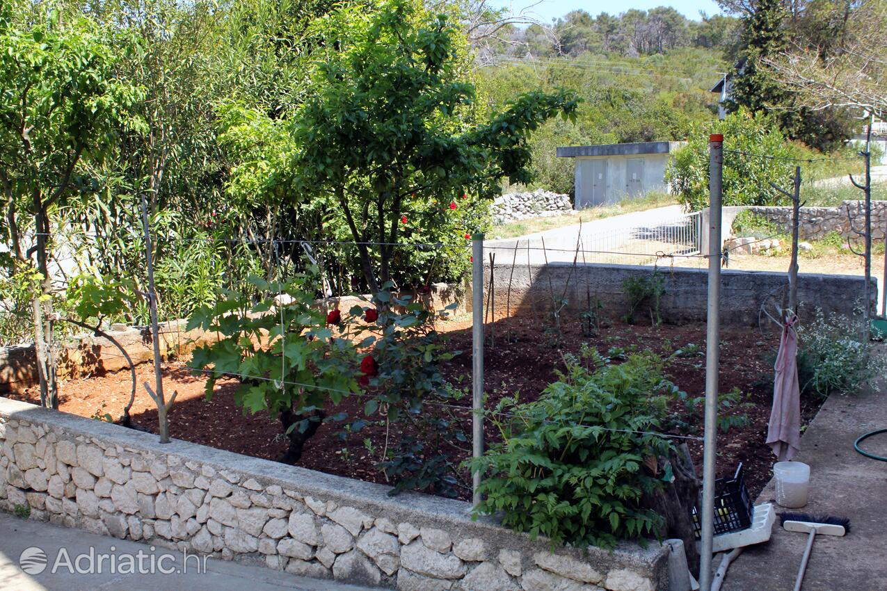 Apartments by the sea Brgulje, Molat - 6250