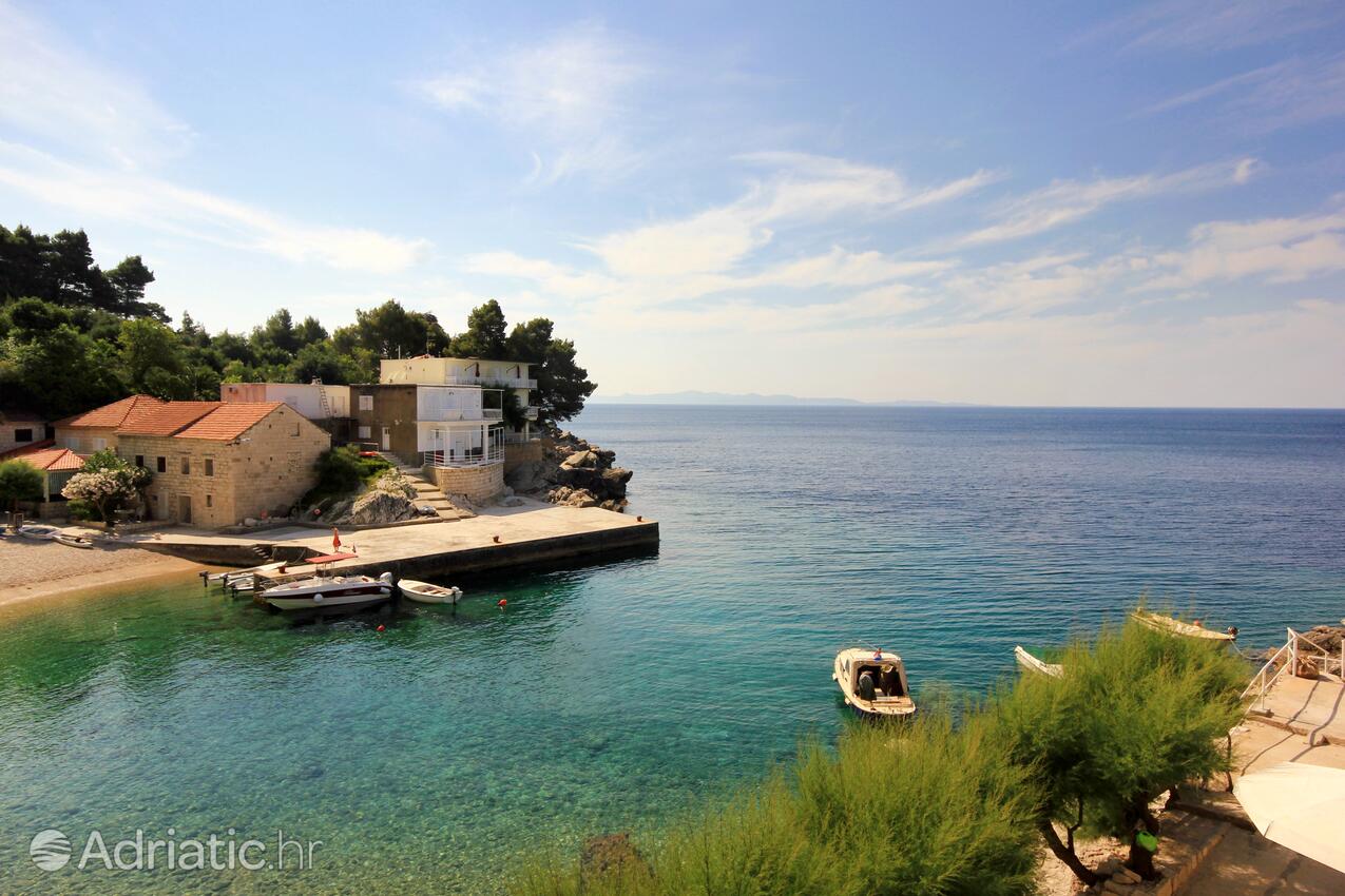 A-631-b - Private accommodation - Apartments by the sea Podobuče, Pelješac