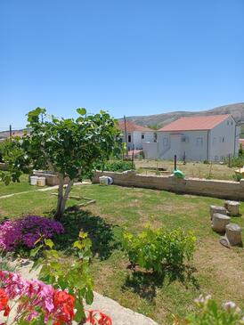 Apartments with parking space Pag - 6325