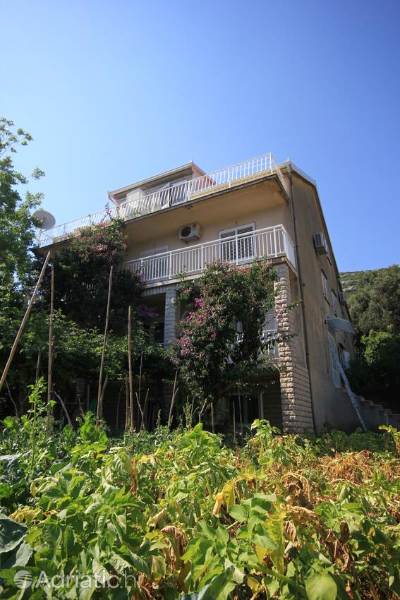 Property - Apartments by the sea Viganj, Pelješac