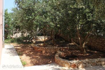 Apartments and rooms with parking space Novalja, Pag - 6341