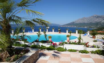Rooms with a swimming pool Postup, Pelješac - 637