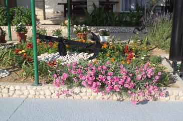 Apartmanok a tenger mellett Pag - 6448