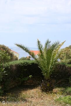 Apartmaji s parkingom Mandre, Pag - 6456