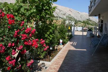 Egyszobás apartman Bosana, Pag (A-6460-b)