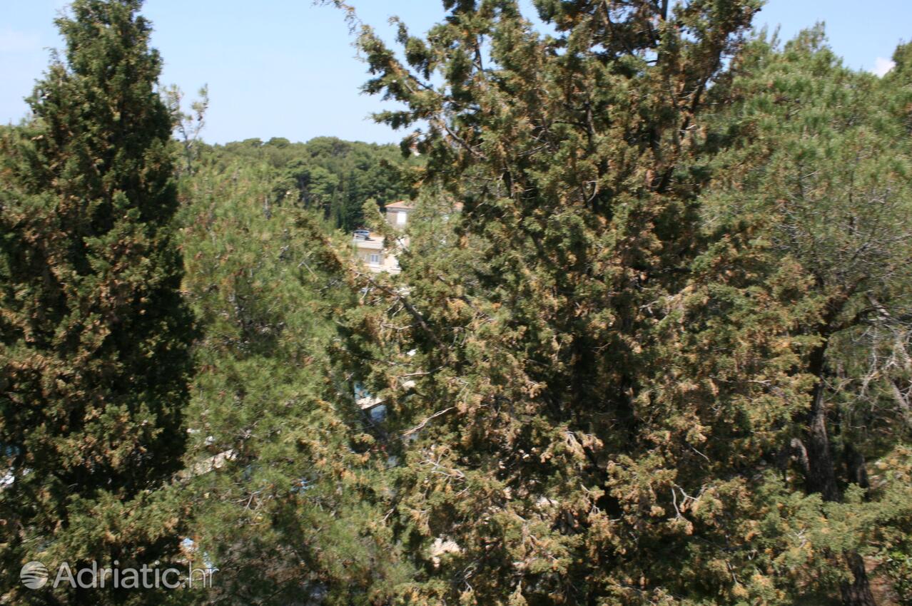 A-6474-d - Privat overnatting - Leiligheter ved sjøen Mandre, Pag